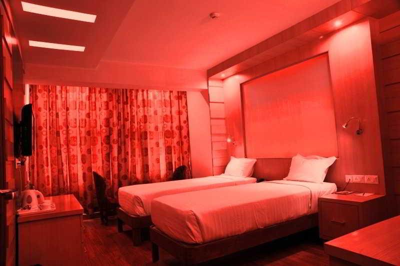Hotel Emarald, Nueva Delhi Habitación foto